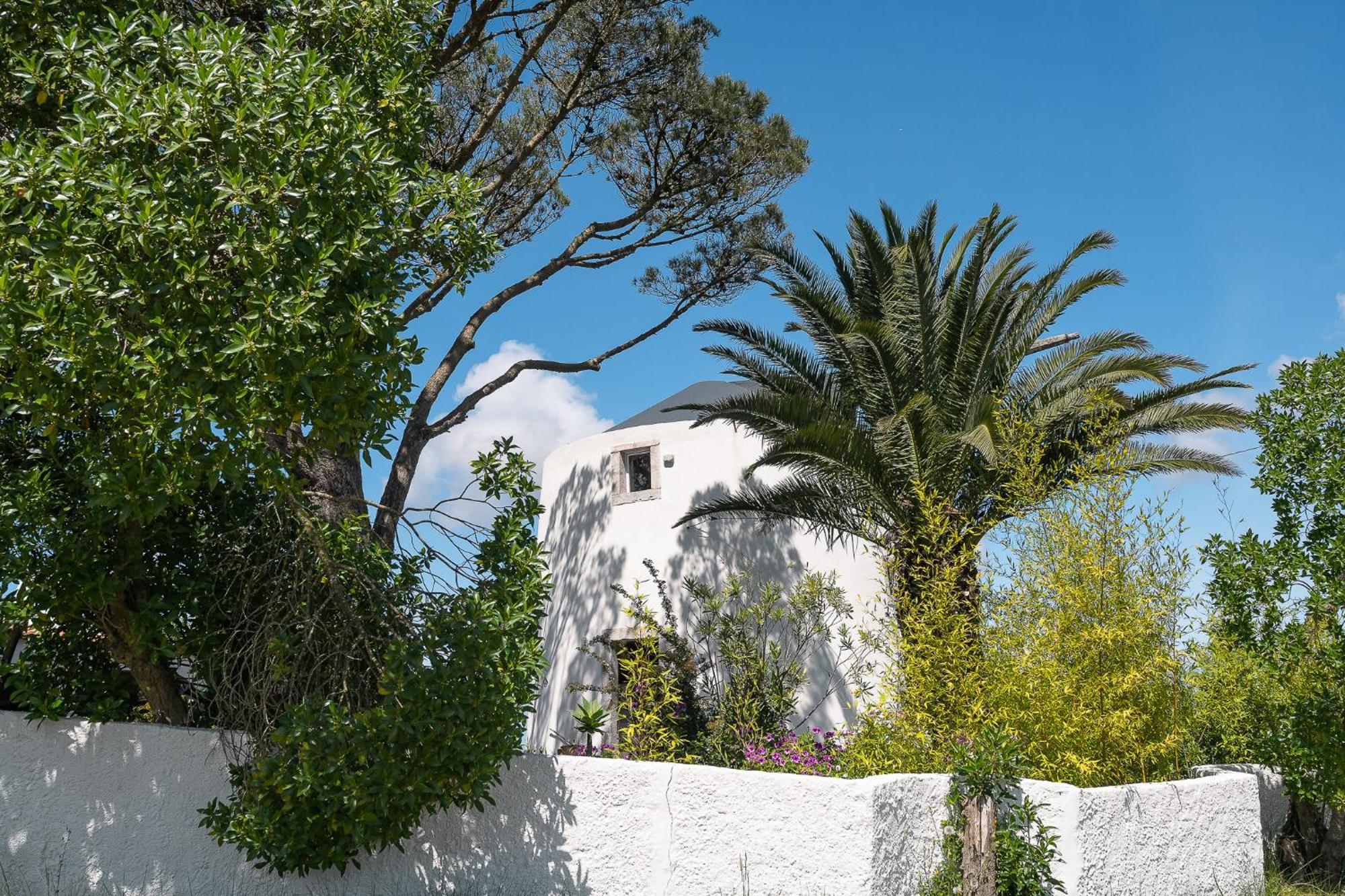 New! Windmill In The Midst Of Nature Villa Mafra Exterior foto