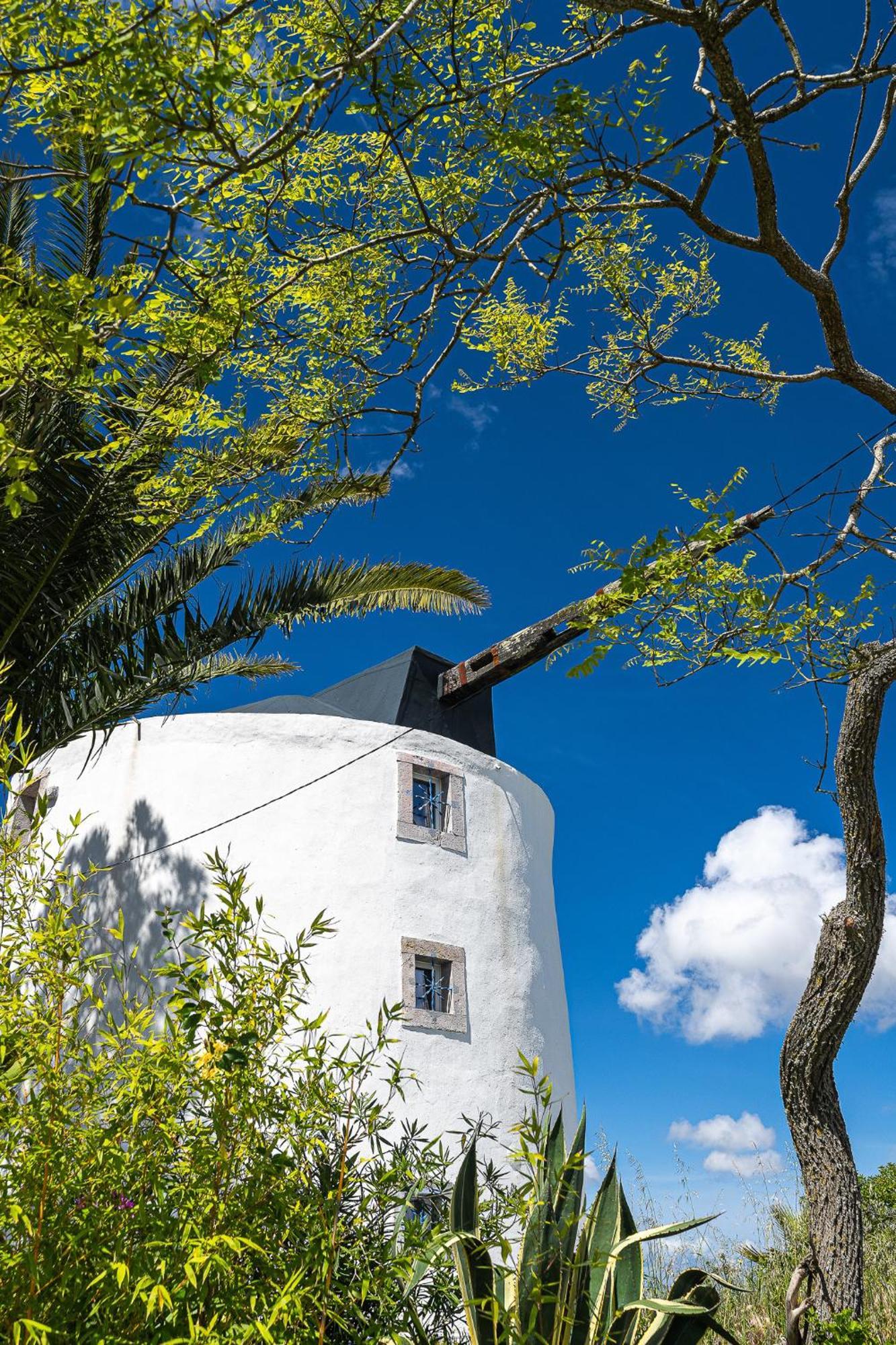 New! Windmill In The Midst Of Nature Villa Mafra Exterior foto